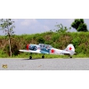 Yak-52 .46 EP-GP ARF - VQ-Models