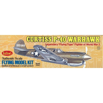 Curtiss P-40 Warhawk [501] - GUILLOWS-Flugzeug