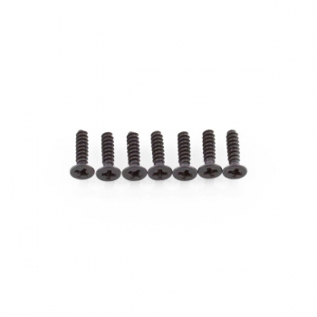 SST 09143 Cap head screw 2,5*10 12P