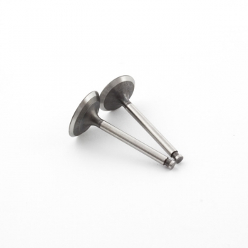 SAITO #G3646 - Valve (in
