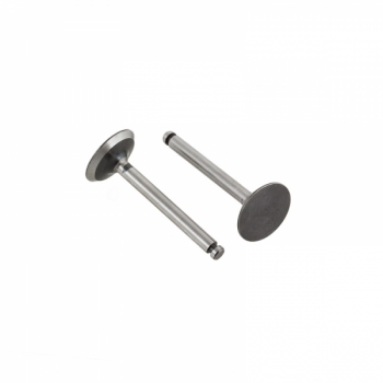 SAITO #91S46 - Valve In Out Pair