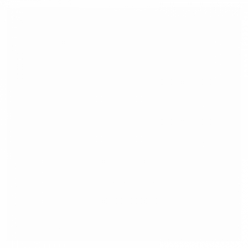 Sprühfarbe R/C Sprühfarbe 85 g - Fluor Overcoat White (FL) (weiß) - PACTRA