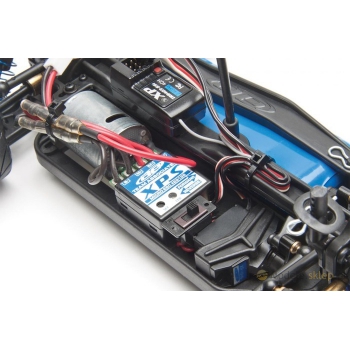 Auto Team Associated - APEX Mini Touring Niteline B