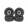 CR12 Tioga Trail Truck RTR