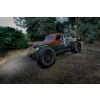 Trophy Rat RTR