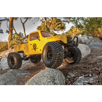 Enduro Ecto Trail Truck RTR
