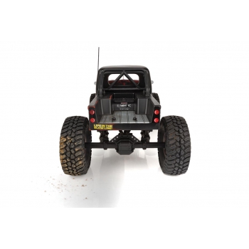 Enduro Ecto Trail Truck, schwarz RTR