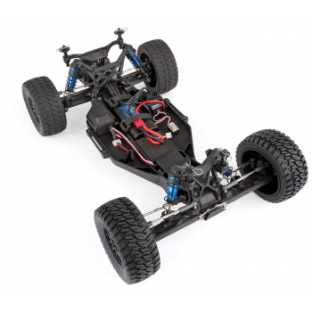 Trophy Rat RTR